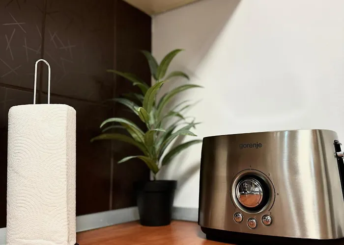 Apartment Blancris Brasov