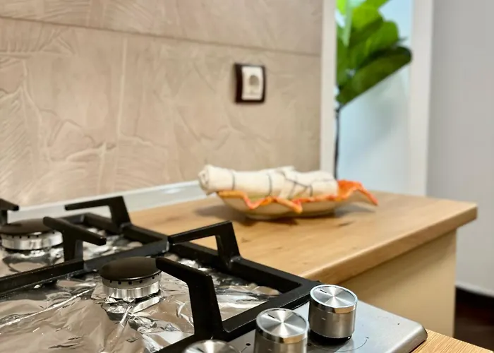 Apartment Blancris Brasov